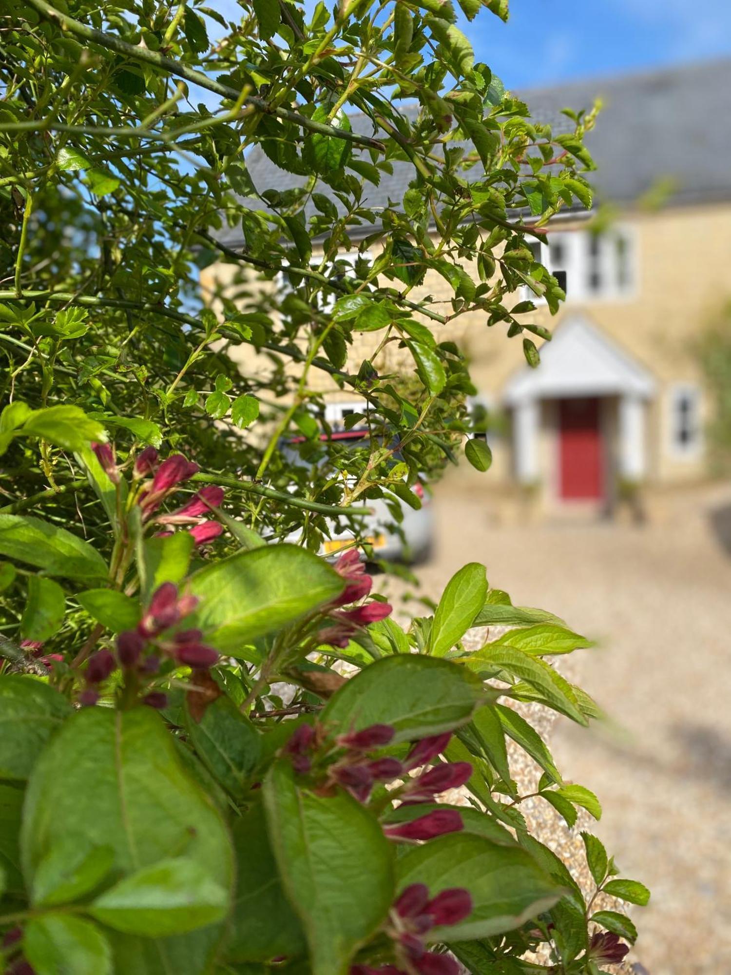 Lower Farm Cottage Beaminster Exterior photo